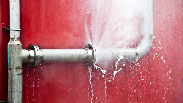 Best Flood damage cleanup  in Contra Costa Centre, CA